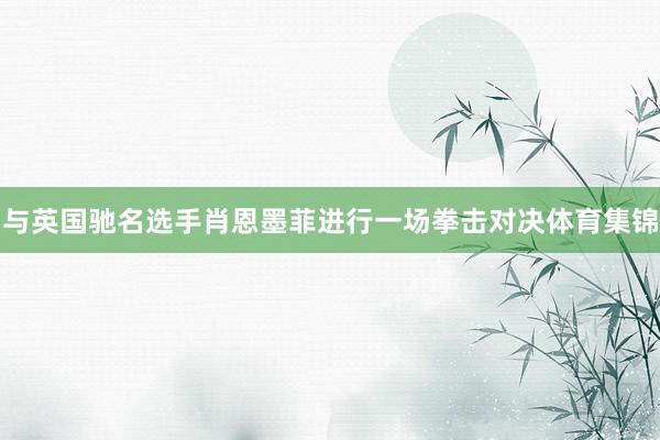 与英国驰名选手肖恩墨菲进行一场拳击对决体育集锦