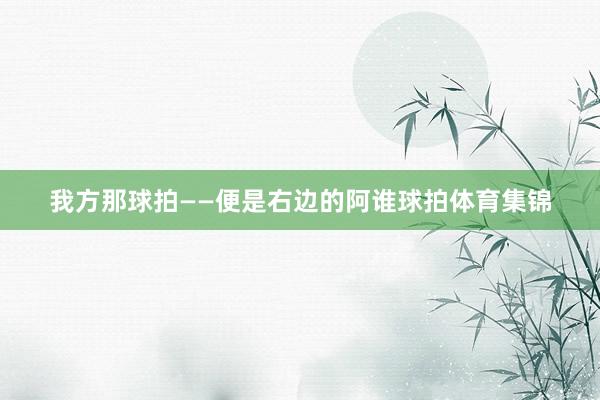 我方那球拍——便是右边的阿谁球拍体育集锦