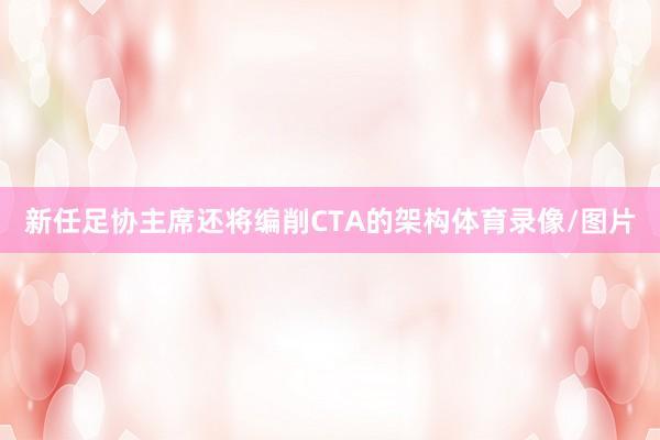 新任足协主席还将编削CTA的架构体育录像/图片