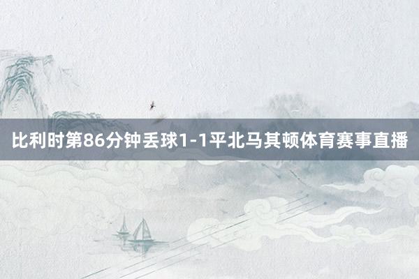 比利时第86分钟丢球1-1平北马其顿体育赛事直播