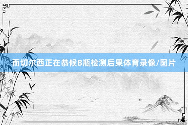 而切尔西正在恭候B瓶检测后果体育录像/图片