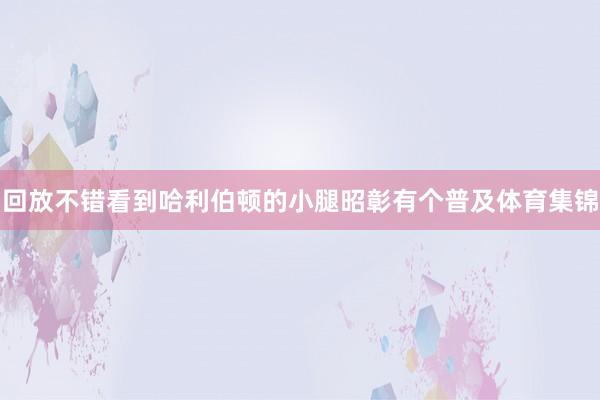 回放不错看到哈利伯顿的小腿昭彰有个普及体育集锦