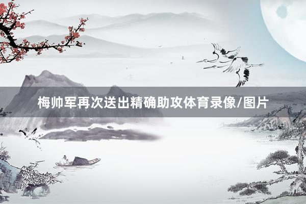 梅帅军再次送出精确助攻体育录像/图片