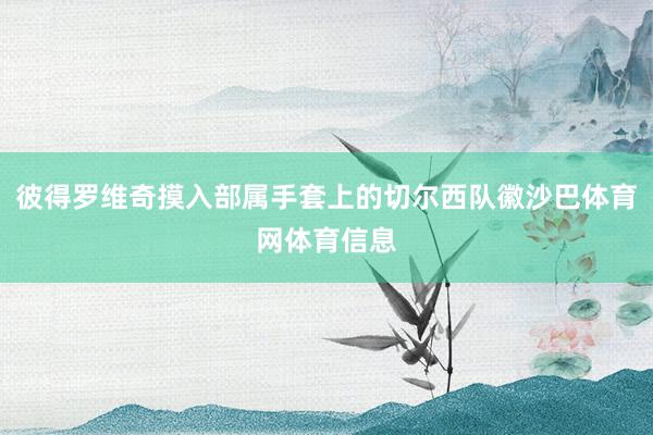 彼得罗维奇摸入部属手套上的切尔西队徽沙巴体育网体育信息