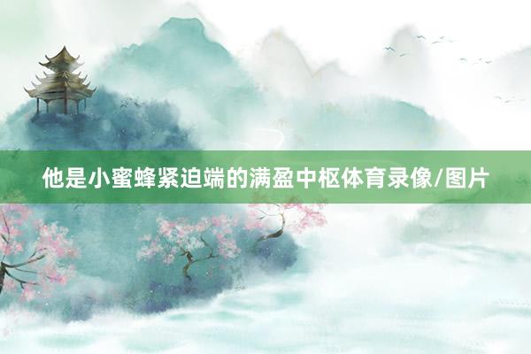 他是小蜜蜂紧迫端的满盈中枢体育录像/图片