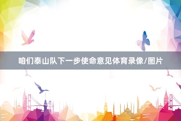 咱们泰山队下一步使命意见体育录像/图片