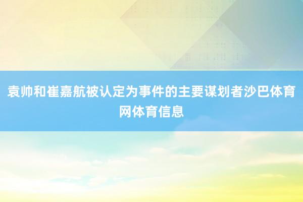 袁帅和崔嘉航被认定为事件的主要谋划者沙巴体育网体育信息