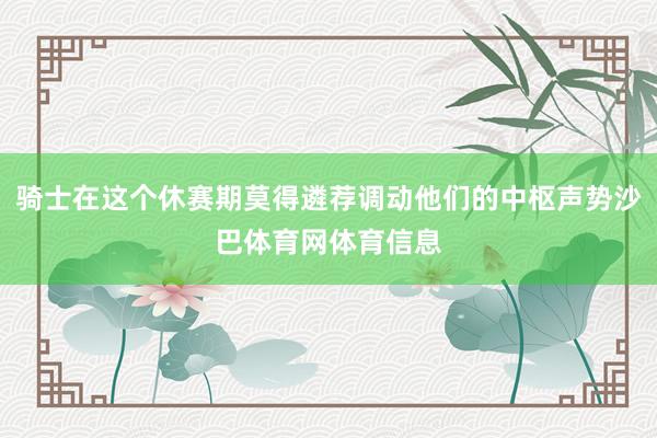 骑士在这个休赛期莫得遴荐调动他们的中枢声势沙巴体育网体育信息