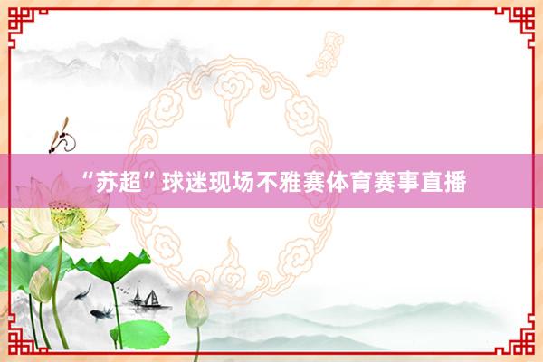 “苏超”球迷现场不雅赛体育赛事直播