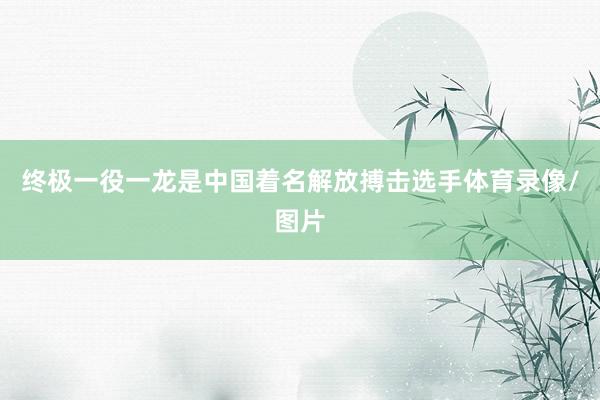终极一役一龙是中国着名解放搏击选手体育录像/图片