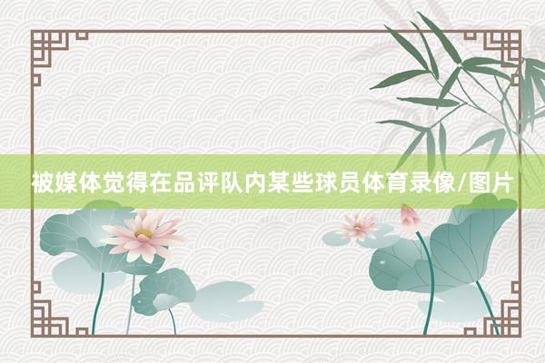 被媒体觉得在品评队内某些球员体育录像/图片