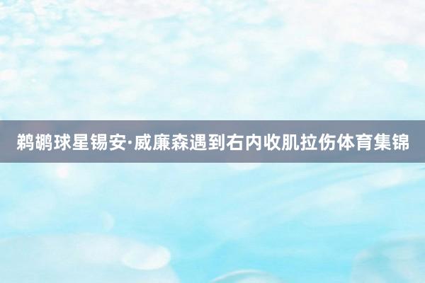 鹈鹕球星锡安·威廉森遇到右内收肌拉伤体育集锦