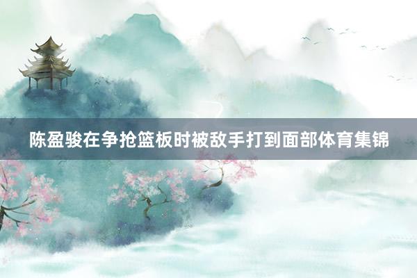 陈盈骏在争抢篮板时被敌手打到面部体育集锦