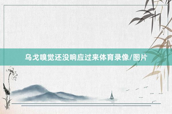 乌戈嗅觉还没响应过来体育录像/图片