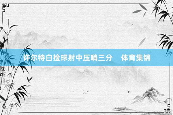 许尔特白捡球射中压哨三分    体育集锦