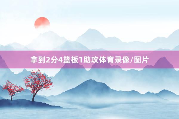 拿到2分4篮板1助攻体育录像/图片