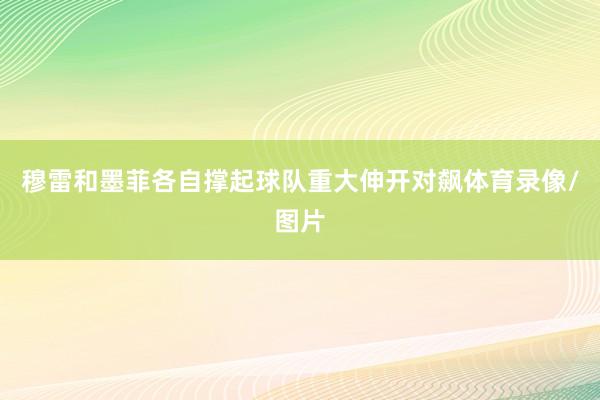 穆雷和墨菲各自撑起球队重大伸开对飙体育录像/图片