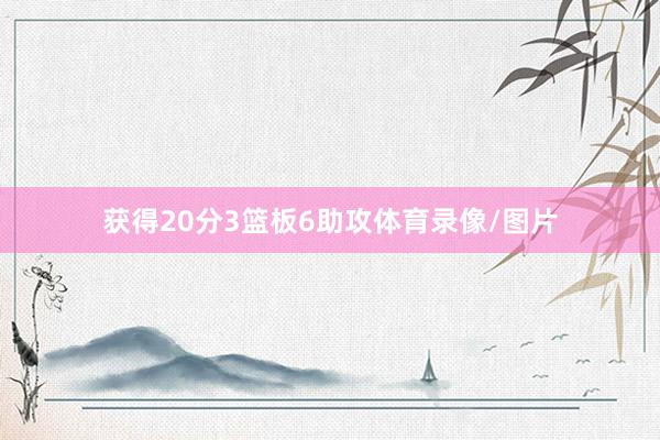 获得20分3篮板6助攻体育录像/图片