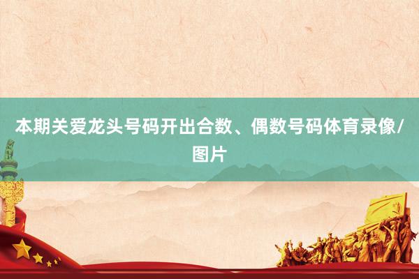 本期关爱龙头号码开出合数、偶数号码体育录像/图片