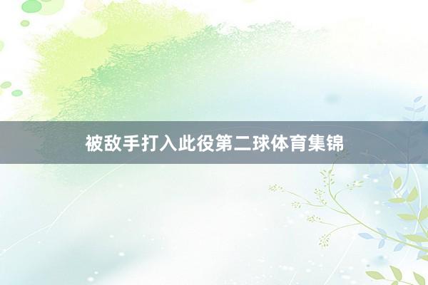 被敌手打入此役第二球体育集锦