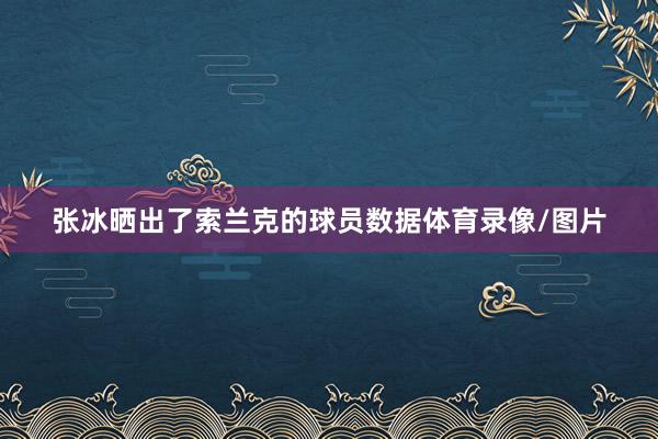 张冰晒出了索兰克的球员数据体育录像/图片