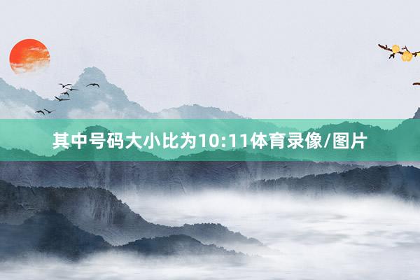 其中号码大小比为10:11体育录像/图片