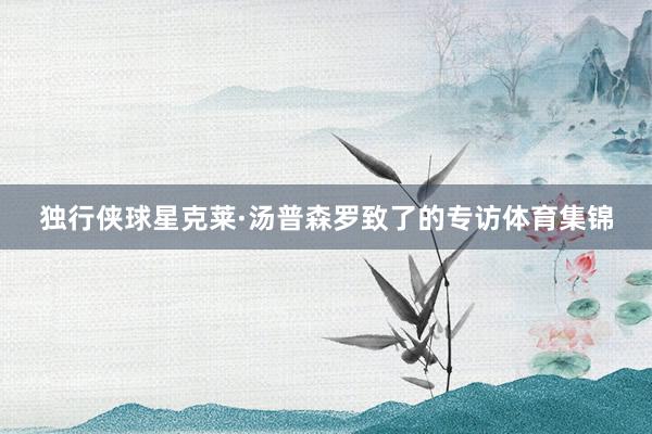 独行侠球星克莱·汤普森罗致了的专访体育集锦
