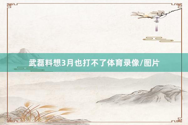 武磊料想3月也打不了体育录像/图片