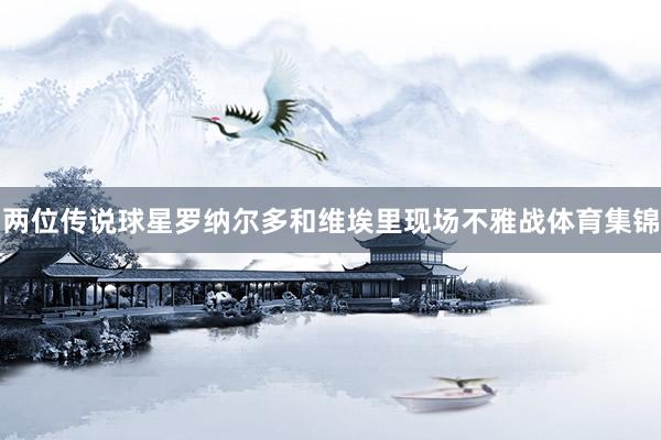 两位传说球星罗纳尔多和维埃里现场不雅战体育集锦