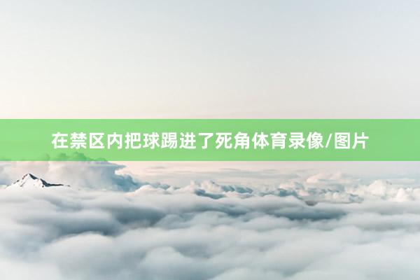 在禁区内把球踢进了死角体育录像/图片