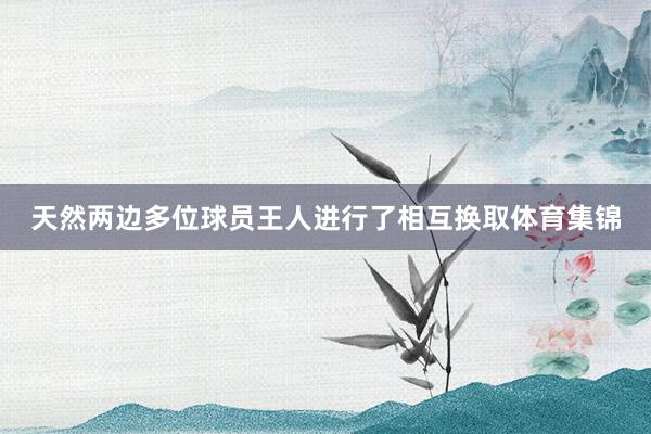 天然两边多位球员王人进行了相互换取体育集锦