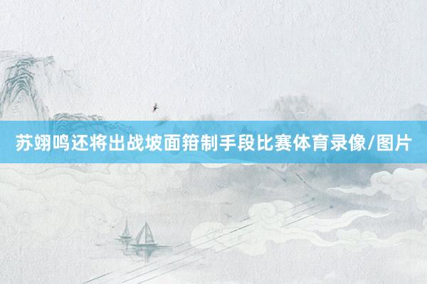 苏翊鸣还将出战坡面箝制手段比赛体育录像/图片
