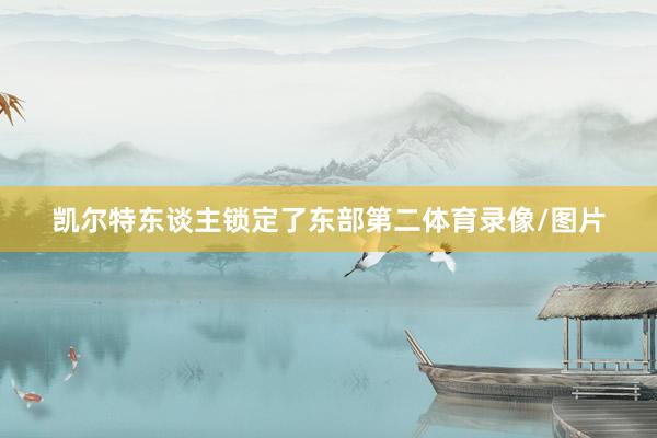凯尔特东谈主锁定了东部第二体育录像/图片