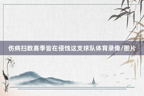 伤病扫数赛季皆在侵蚀这支球队体育录像/图片
