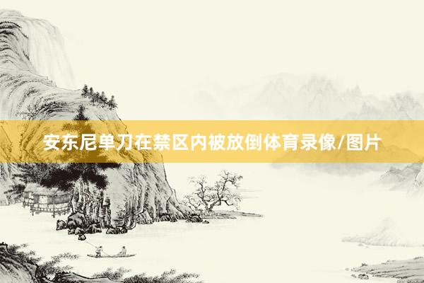 安东尼单刀在禁区内被放倒体育录像/图片