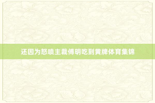 还因为怒喷主裁傅明吃到黄牌体育集锦