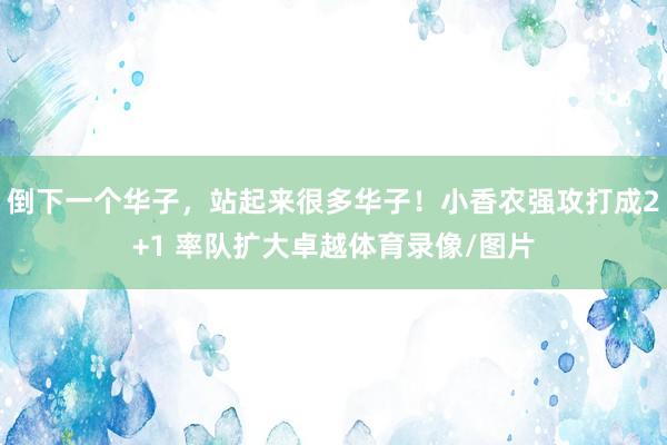 倒下一个华子，站起来很多华子！小香农强攻打成2+1 率队扩大卓越体育录像/图片