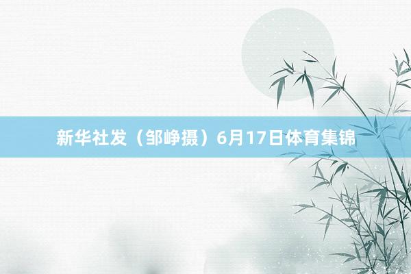 新华社发(邹峥摄)6月17日体育集锦